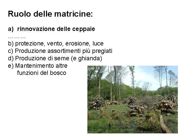 Ruolo delle matricine: a) rinnovazione delle ceppaie ……… b) protezione, vento, erosione, luce c)