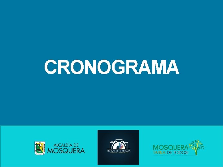 CRONOGRAMA 