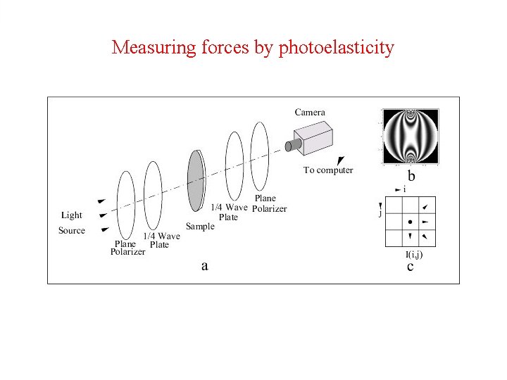 Measuring forces by photoelasticity 