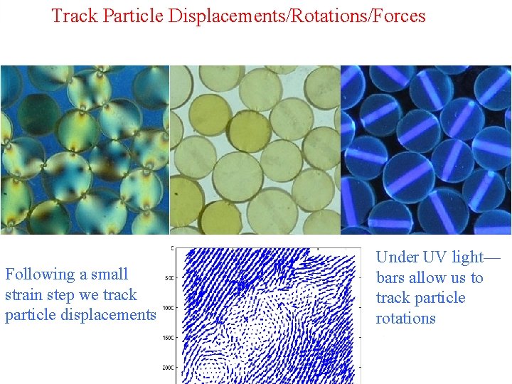 Track Particle Displacements/Rotations/Forces Following a small strain step we track particle displacements Under UV