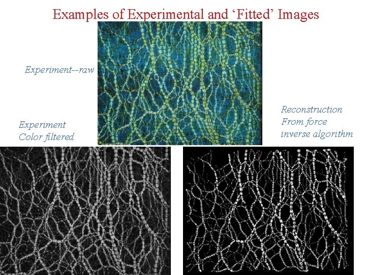 Examples of Experimental and ‘Fitted’ Images Experiment--raw Experiment Color filtered Reconstruction From force inverse