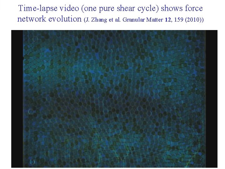 Time-lapse video (one pure shear cycle) shows force network evolution (J. Zhang et al.