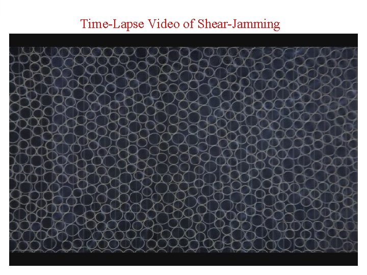Time-Lapse Video of Shear-Jamming 
