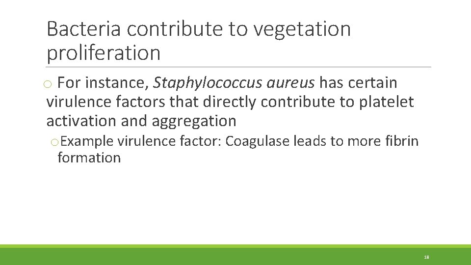 Bacteria contribute to vegetation proliferation o For instance, Staphylococcus aureus has certain virulence factors Bacteria contribute to vegetation proliferation o For instance, Staphylococcus aureus has certain virulence factors