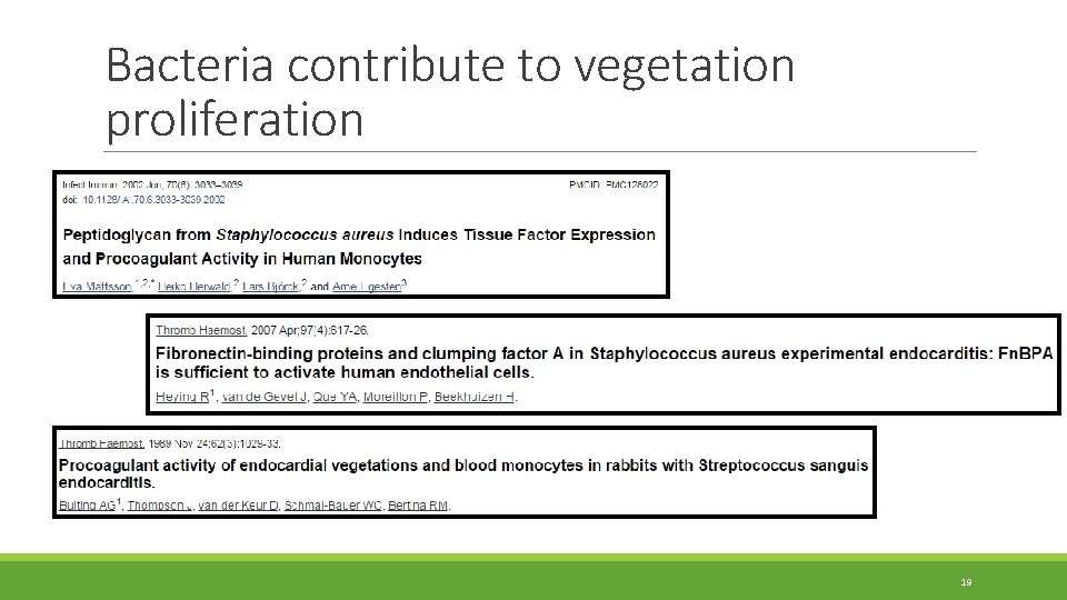 Bacteria contribute to vegetation proliferation 19 Bacteria contribute to vegetation proliferation 19