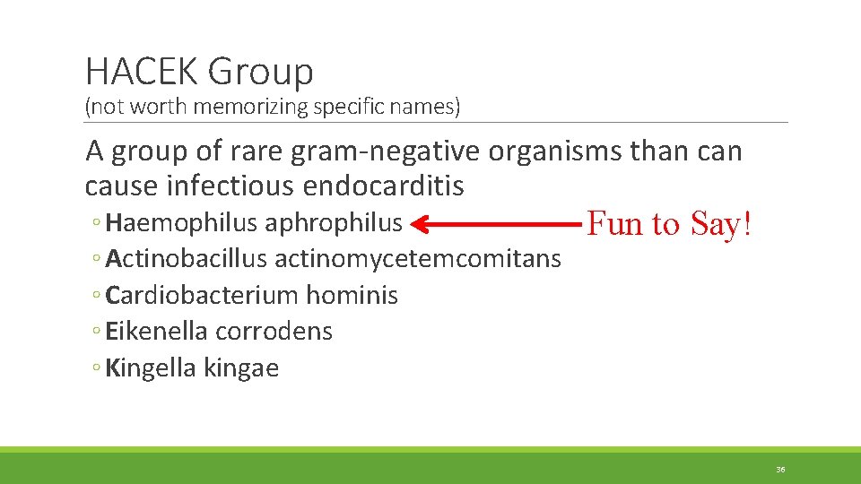 HACEK Group (not worth memorizing specific names) A group of rare gram-negative organisms than HACEK Group (not worth memorizing specific names) A group of rare gram-negative organisms than
