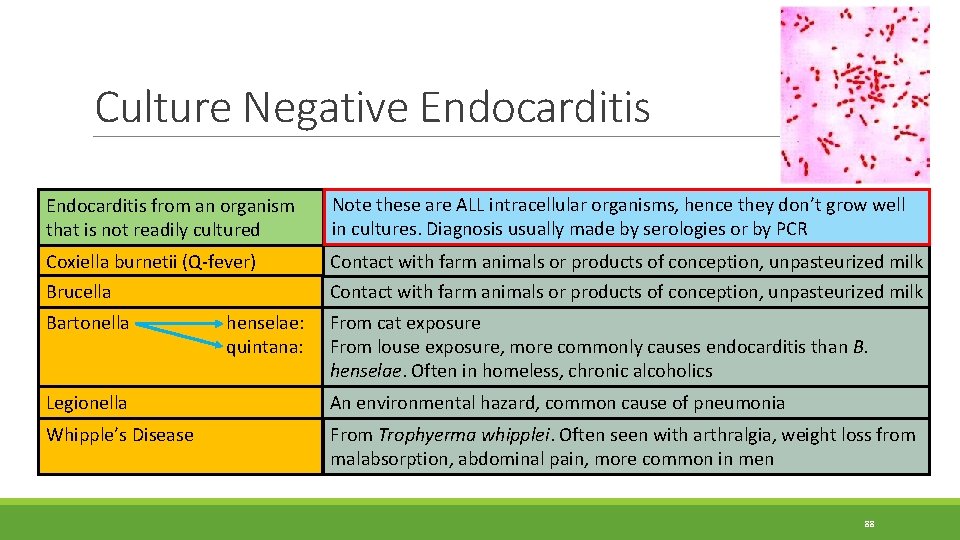 Culture Negative Endocarditis from an organism that is not readily cultured Note these are Culture Negative Endocarditis from an organism that is not readily cultured Note these are