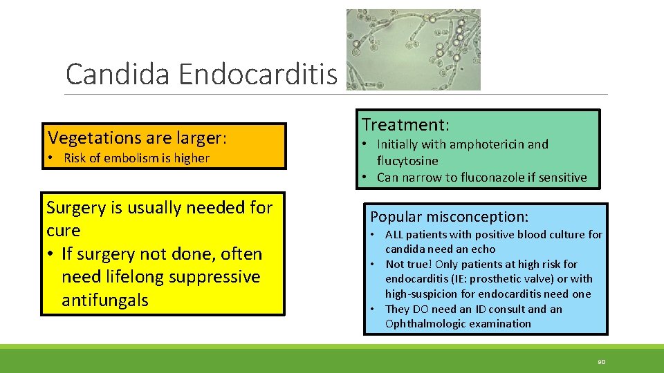 Candida Endocarditis Vegetations are larger: • Risk of embolism is higher Surgery is usually Candida Endocarditis Vegetations are larger: • Risk of embolism is higher Surgery is usually