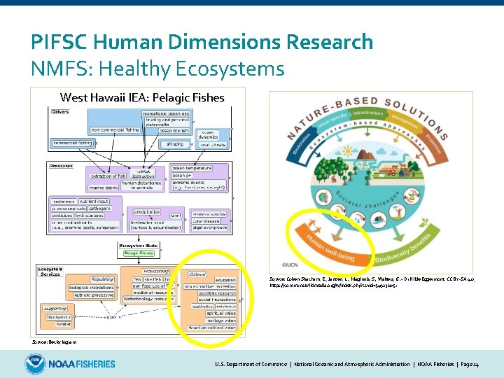 PIFSC Human Dimensions Research NMFS: Healthy Ecosystems West Hawaii IEA: Pelagic Fishes Source: Cohen-Shacham,