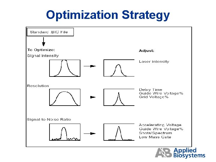 Optimization Strategy 