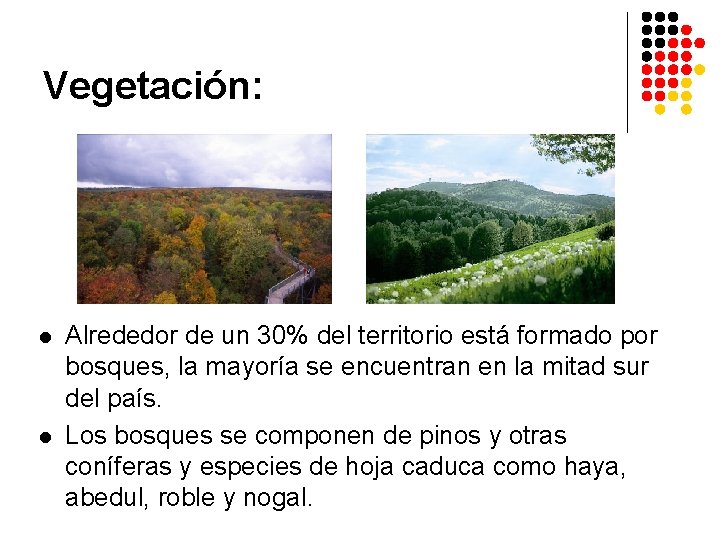 Vegetación: l l Alrededor de un 30% del territorio está formado por bosques, la