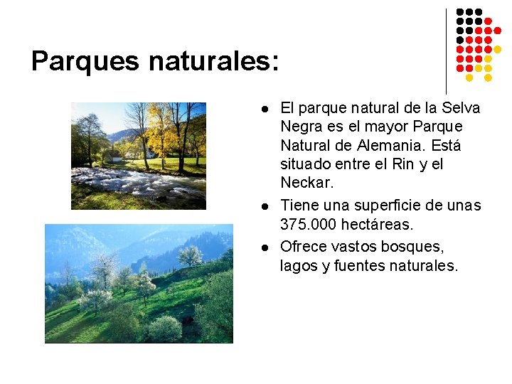 Parques naturales: l l l El parque natural de la Selva Negra es el