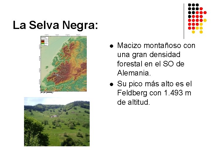 La Selva Negra: l l Macizo montañoso con una gran densidad forestal en el