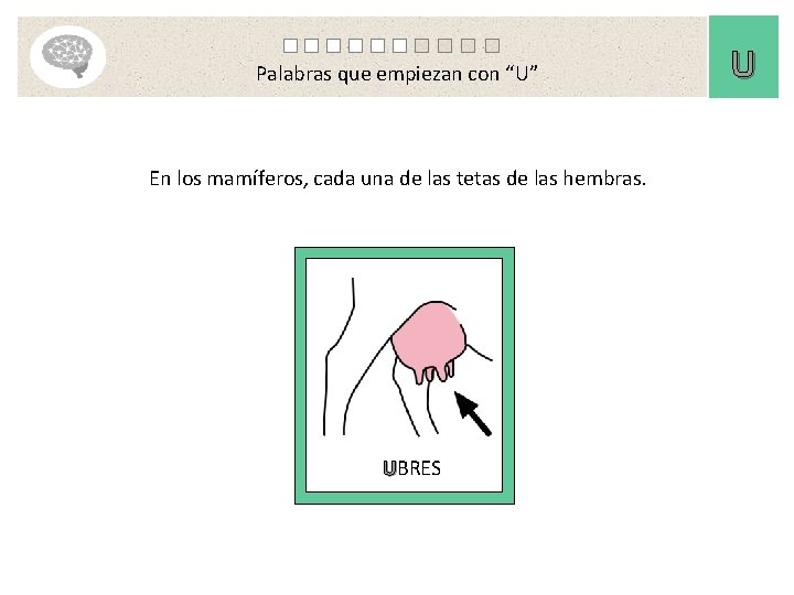 Palabras que empiezan con “U” En los mamíferos, cada una de las tetas de