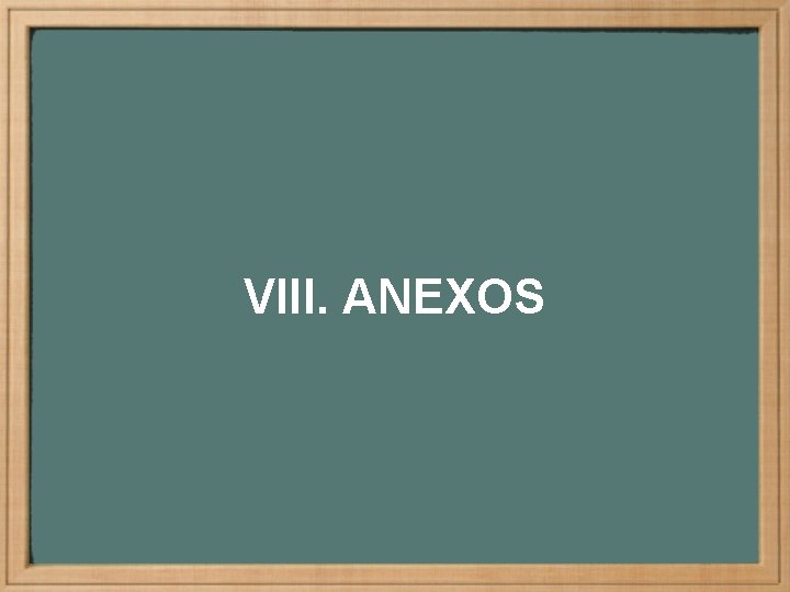 VIII. ANEXOS 