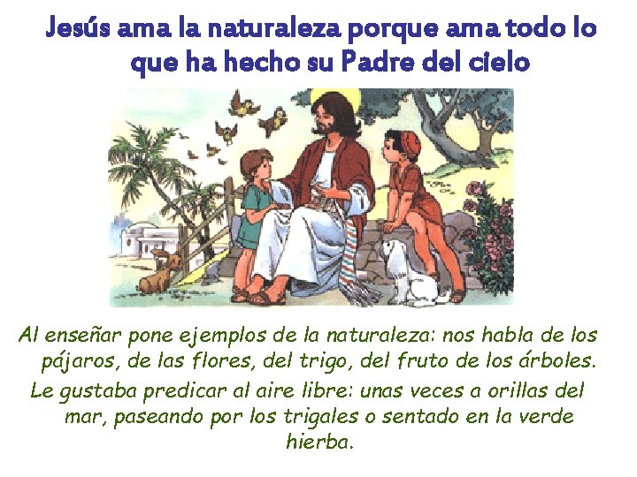 Jesús ama la naturaleza porque ama todo lo que ha hecho su Padre del