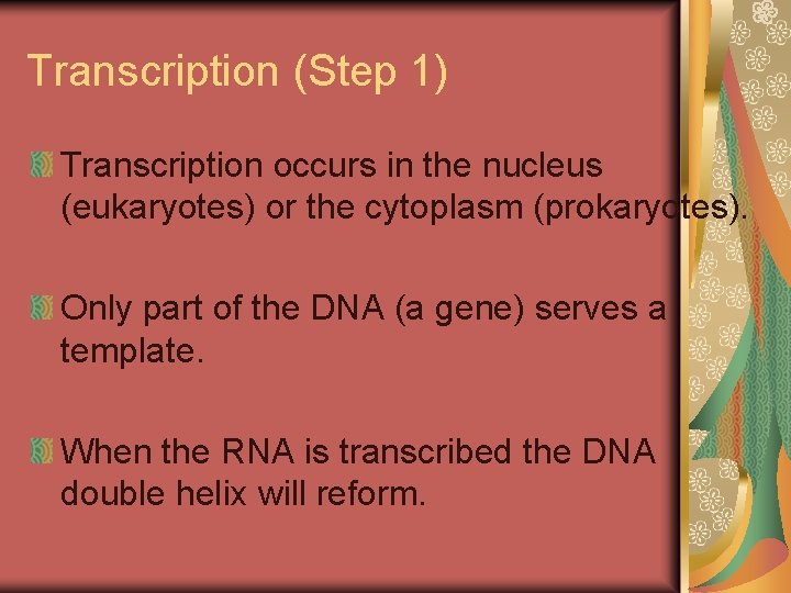 Transcription (Step 1) Transcription occurs in the nucleus (eukaryotes) or the cytoplasm (prokaryotes). Only Transcription (Step 1) Transcription occurs in the nucleus (eukaryotes) or the cytoplasm (prokaryotes). Only