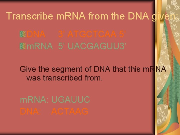 Transcribe m. RNA from the DNA given: DNA 3’ ATGCTCAA 5’ m. RNA 5’ Transcribe m. RNA from the DNA given: DNA 3’ ATGCTCAA 5’ m. RNA 5’