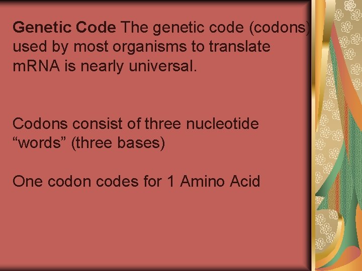 Genetic Code The genetic code (codons) used by most organisms to translate m. RNA Genetic Code The genetic code (codons) used by most organisms to translate m. RNA