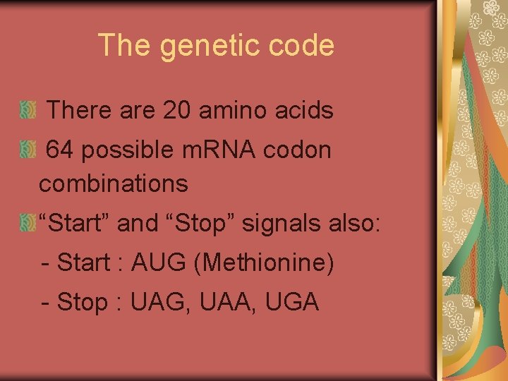 The genetic code There are 20 amino acids 64 possible m. RNA codon combinations The genetic code There are 20 amino acids 64 possible m. RNA codon combinations