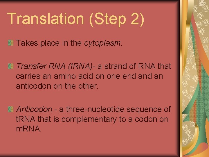 Translation (Step 2) Takes place in the cytoplasm. Transfer RNA (t. RNA)- a strand Translation (Step 2) Takes place in the cytoplasm. Transfer RNA (t. RNA)- a strand