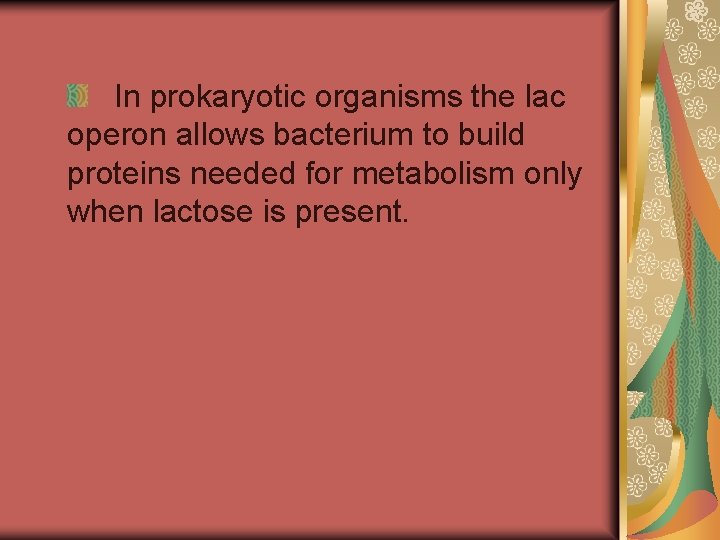 In prokaryotic organisms the lac operon allows bacterium to build proteins needed for metabolism In prokaryotic organisms the lac operon allows bacterium to build proteins needed for metabolism