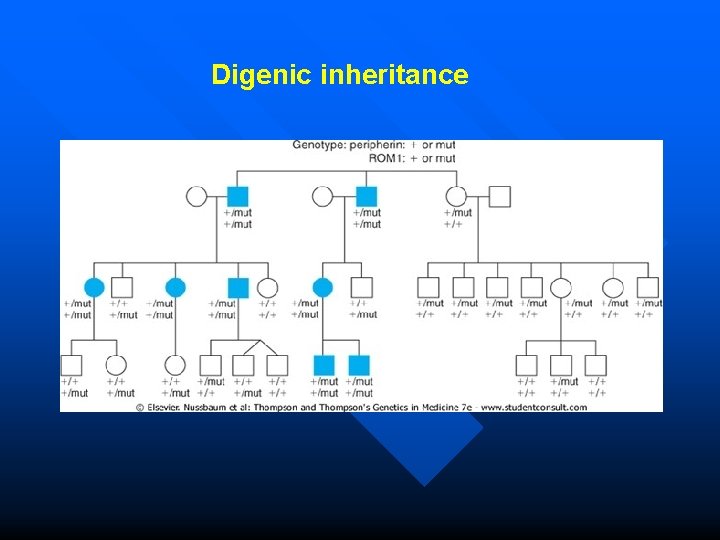 Digenic inheritance 
