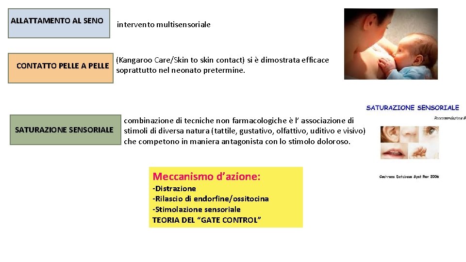 ALLATTAMENTO AL SENO intervento multisensoriale (Kangaroo Care/Skin to skin contact) si è dimostrata efficace