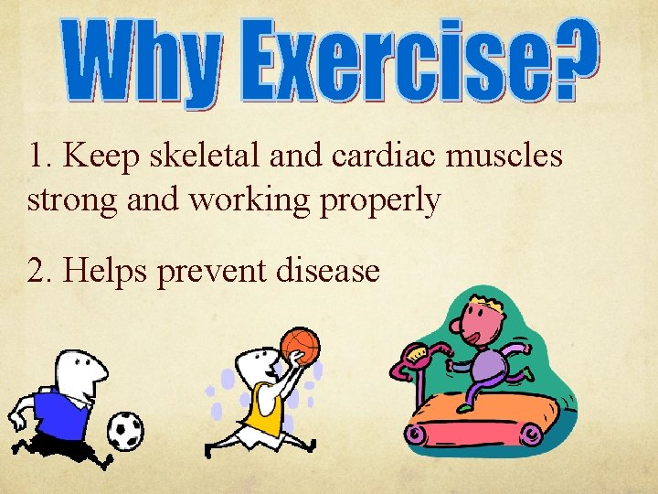 1. Keep skeletal and cardiac muscles strong and working properly 2. Helps prevent disease