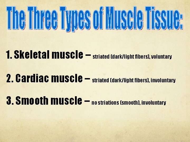 1. Skeletal muscle – striated (dark/light fibers), voluntary 2. Cardiac muscle – striated (dark/light