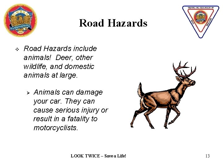 Road Hazards v Road Hazards include animals! Deer, other wildlife, and domestic animals at