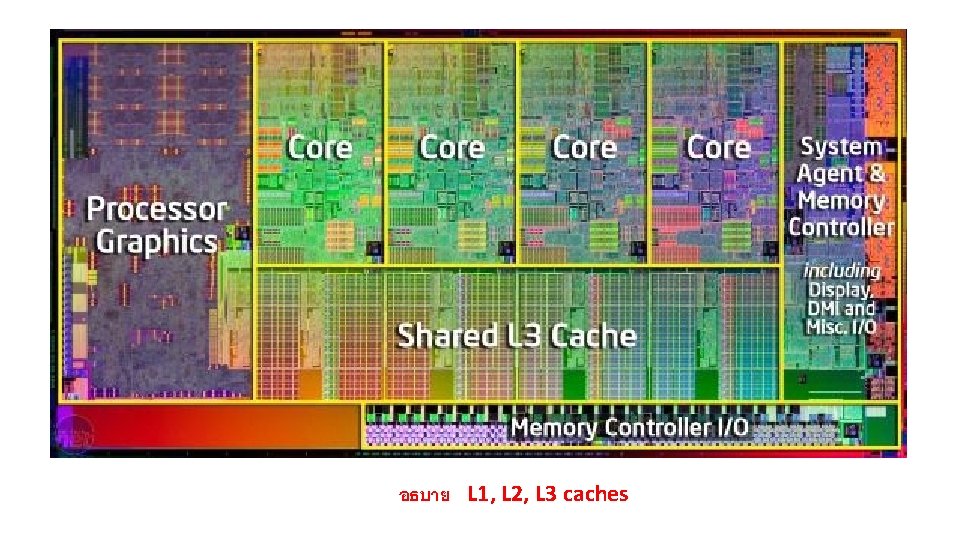 อธบาย L 1, L 2, L 3 caches 