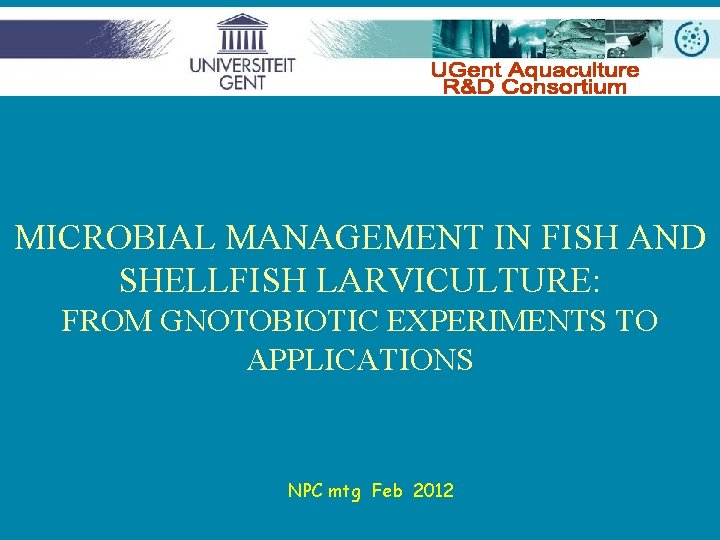 MICROBIAL MANAGEMENT IN FISH AND SHELLFISH LARVICULTURE: FROM GNOTOBIOTIC EXPERIMENTS TO APPLICATIONS NPC mtg