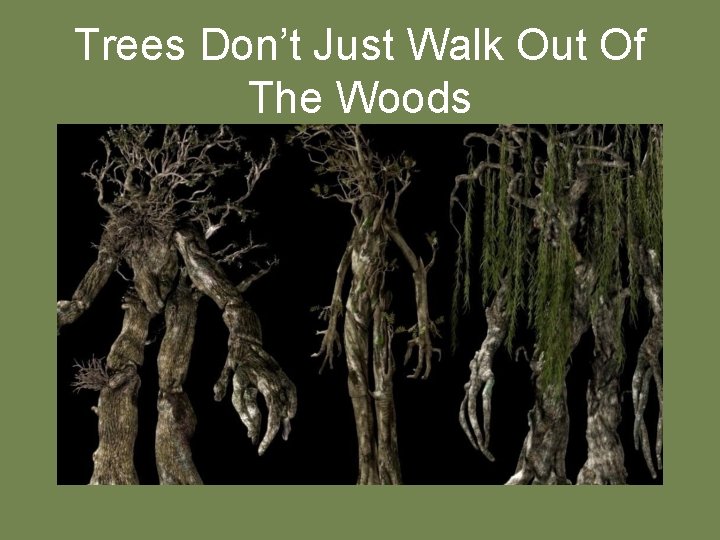 Trees Don’t Just Walk Out Of The Woods 