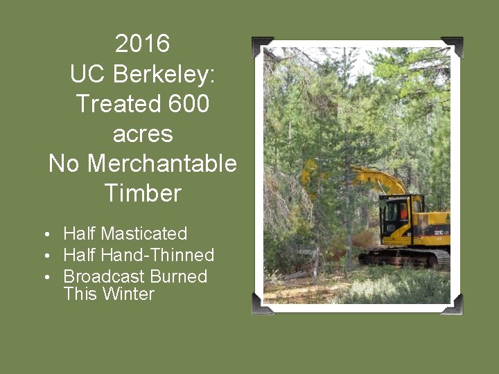 2016 UC Berkeley: Treated 600 acres No Merchantable Timber • Half Masticated • Half