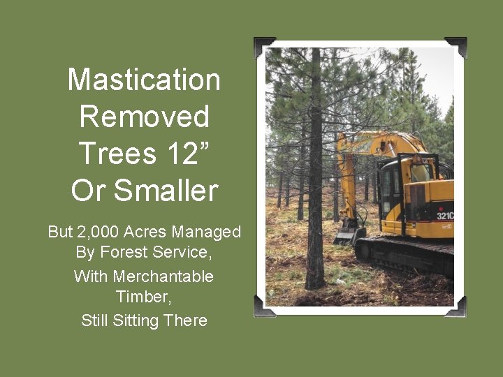 Mastication Removed Trees 12” Or Smaller But 2, 000 Acres Managed By Forest Service,