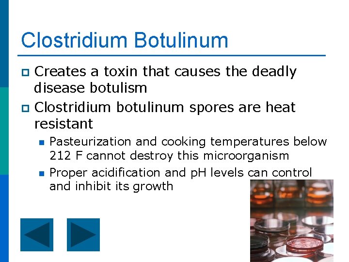 Clostridium Botulinum Creates a toxin that causes the deadly disease botulism p Clostridium botulinum