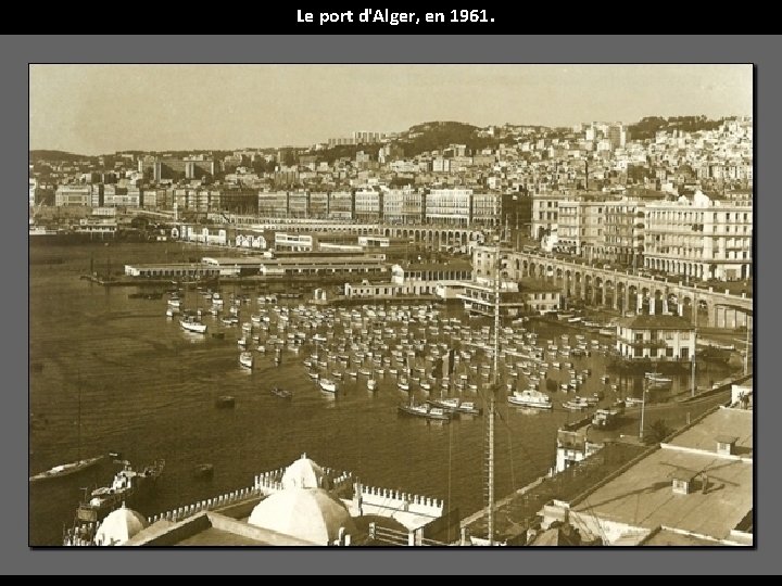 Le port d'Alger, en 1961. 