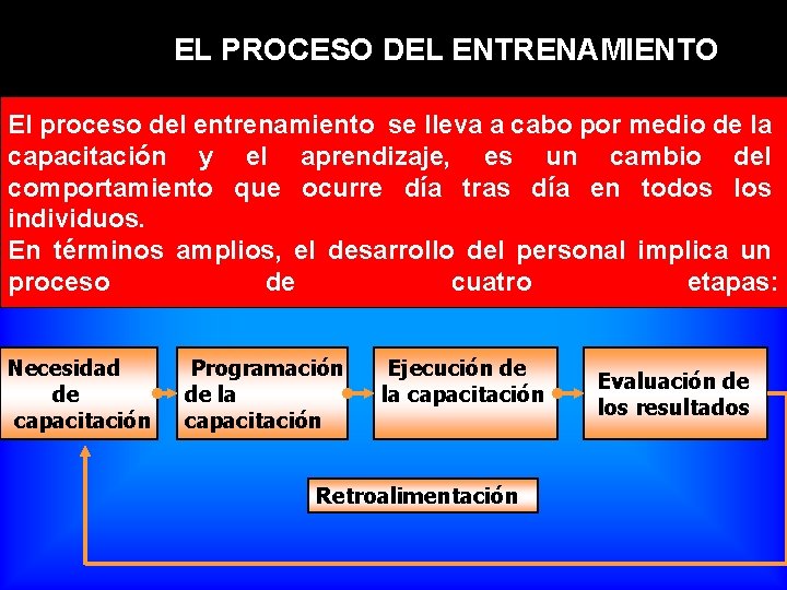 IV. 3. 2. EL PROCESO DEL ENTRENAMIENTO El proceso del entrenamiento se lleva a