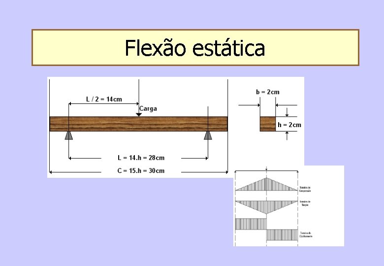 Flexão estática 