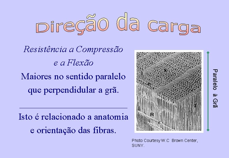 Paralelo à Grã Resistência a Compressão e a Flexão Maiores no sentido paralelo que