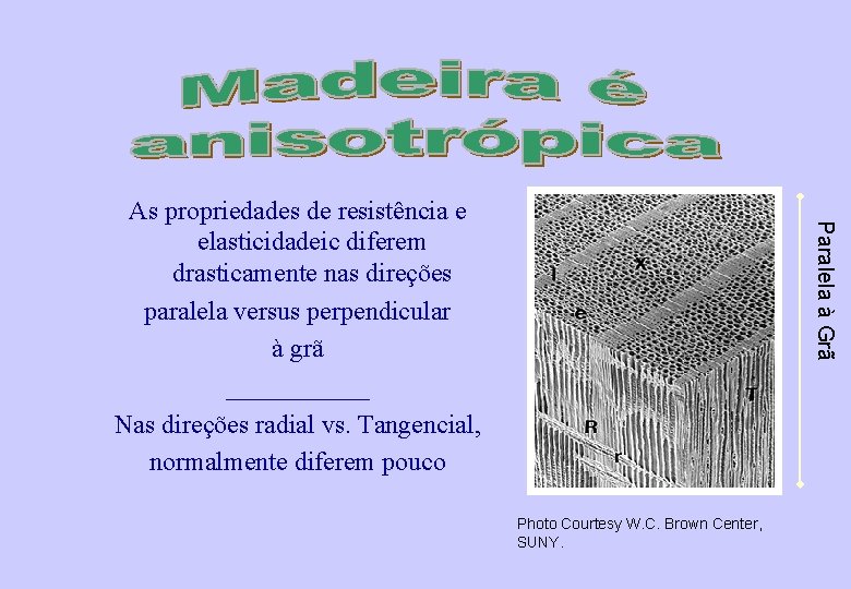 Paralela à Grã As propriedades de resistência e elasticidadeic diferem drasticamente nas direções paralela