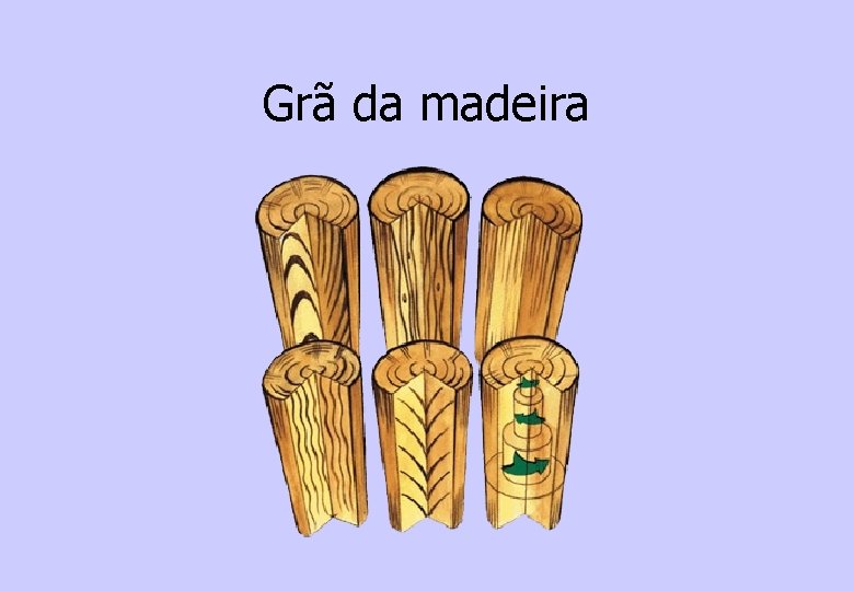 Grã da madeira 