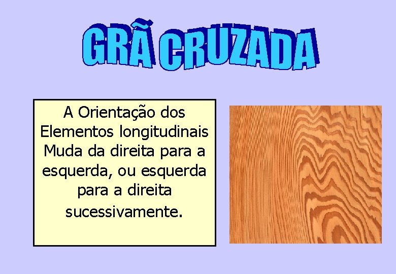 A Orientação dos Elementos longitudinais Muda da direita para a esquerda, ou esquerda para