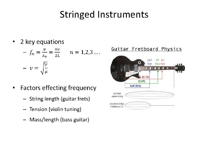 Stringed Instruments • 