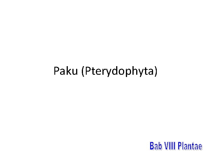 Paku (Pterydophyta) 
