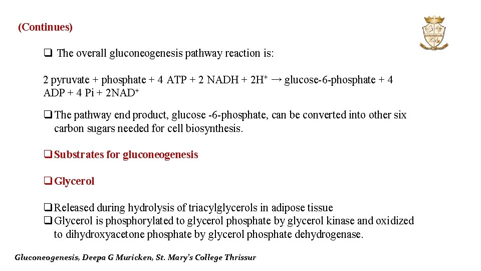 (Continues) q The overall gluconeogenesis pathway reaction is: 2 pyruvate + phosphate + 4