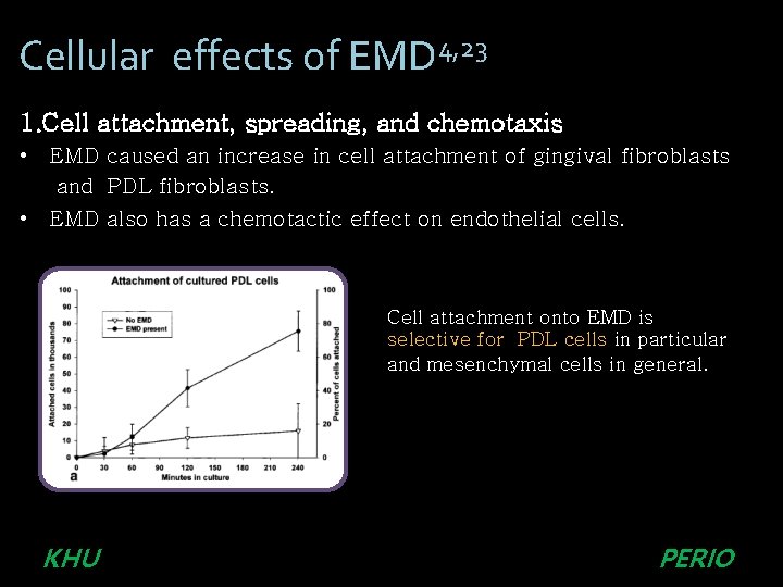 Cellular effects of EMD 4, 23 1. Cell attachment, spreading, and chemotaxis • EMD