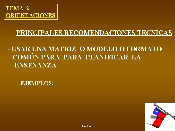 TEMA 2 ORIENTACIONES PRINCIPALES RECOMENDACIONES TÉCNICAS - USAR UNA MATRIZ O MODELO O FORMATO