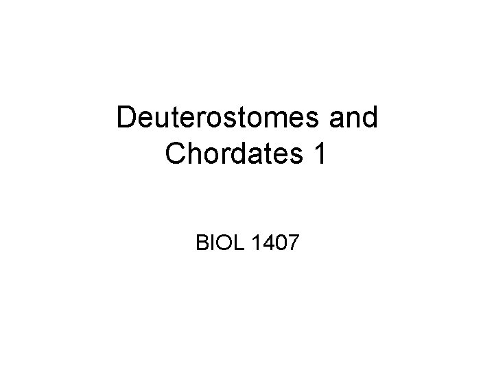 Deuterostomes and Chordates 1 BIOL 1407 